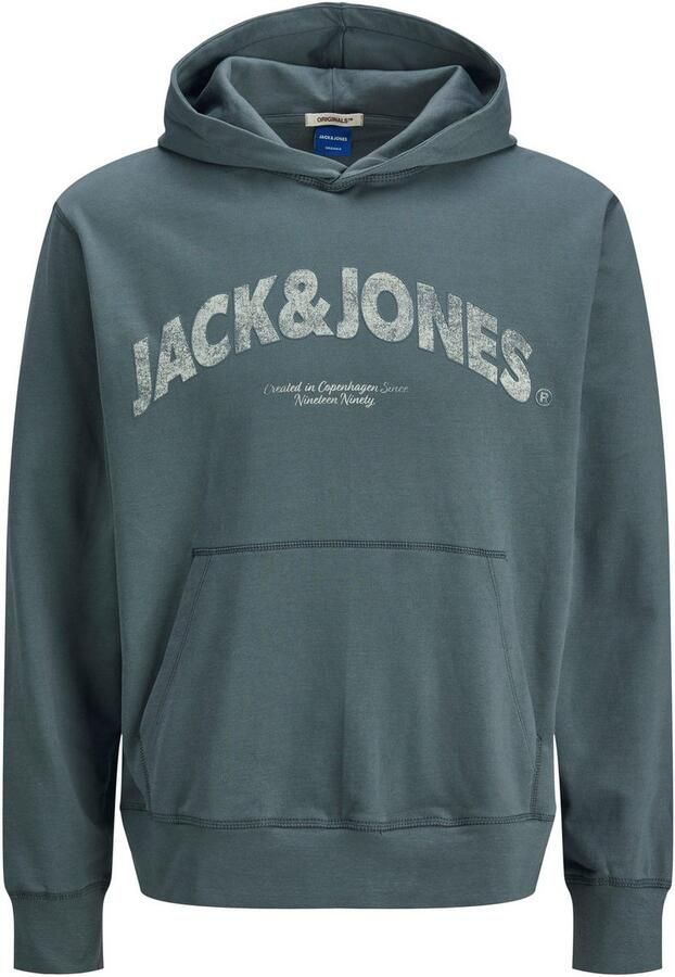 Jack & Jones Hoodie JORALMERIA SWEAT HOOD - Foto 6