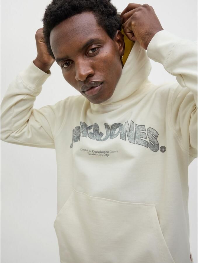 Jack & Jones Hoodie JORALMERIA SWEAT HOOD - Foto 3