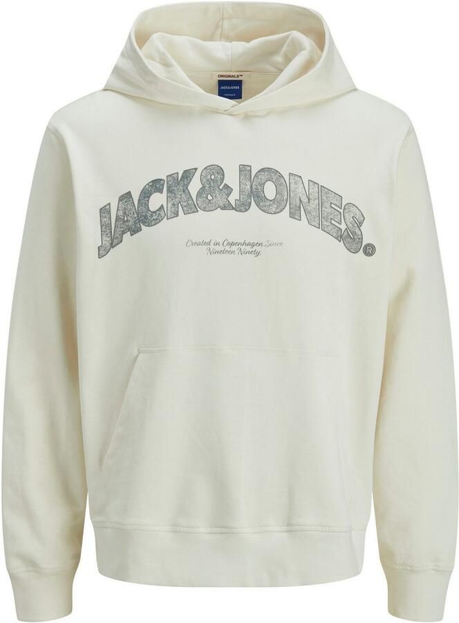 Jack & Jones Hoodie JORALMERIA SWEAT HOOD - Foto 6