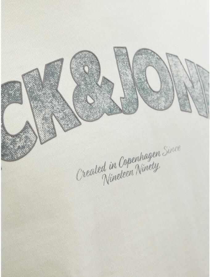 Jack & Jones Hoodie JORALMERIA SWEAT HOOD