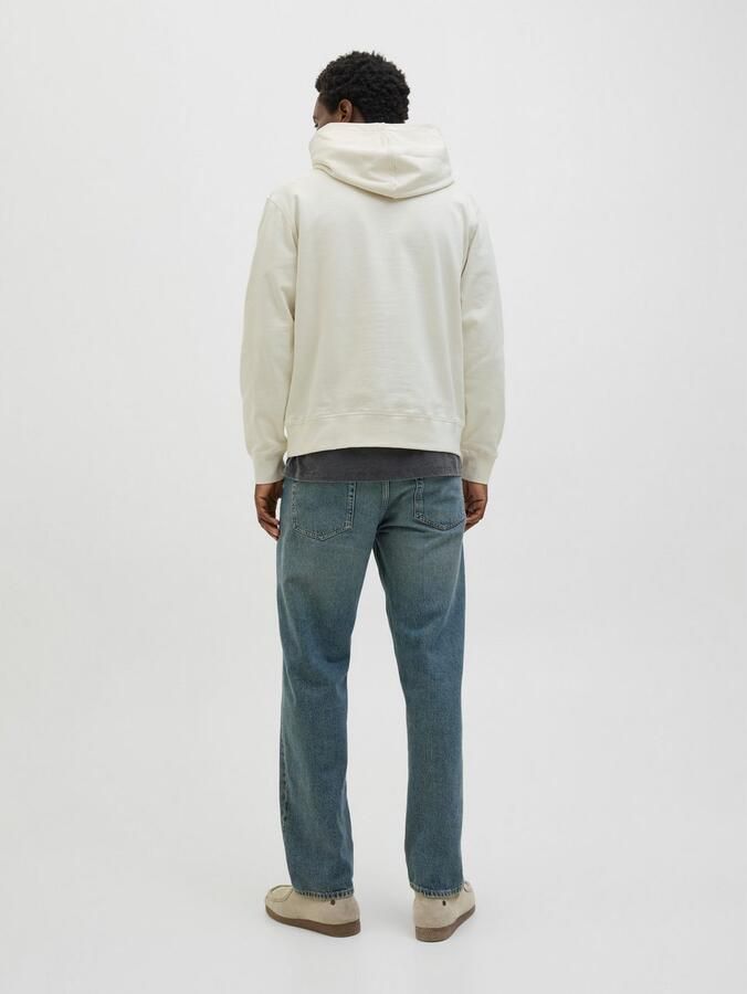 Jack & Jones Hoodie JORALMERIA SWEAT HOOD - Foto 5