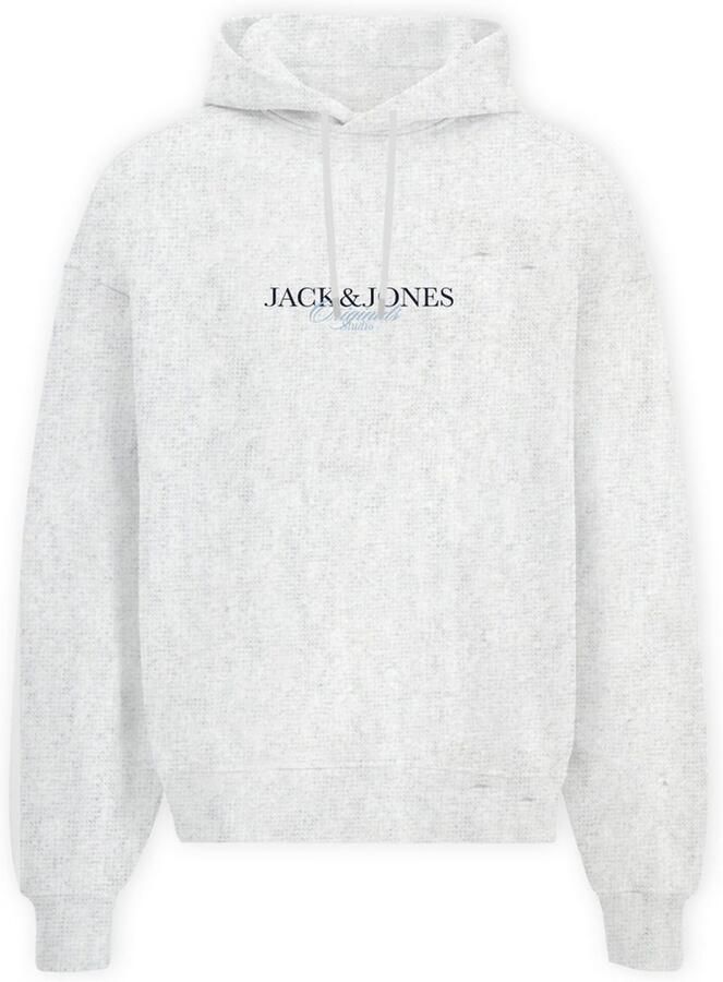 Jack & Jones Hoodie JORBILLYBURG SWEAT HOOD FST