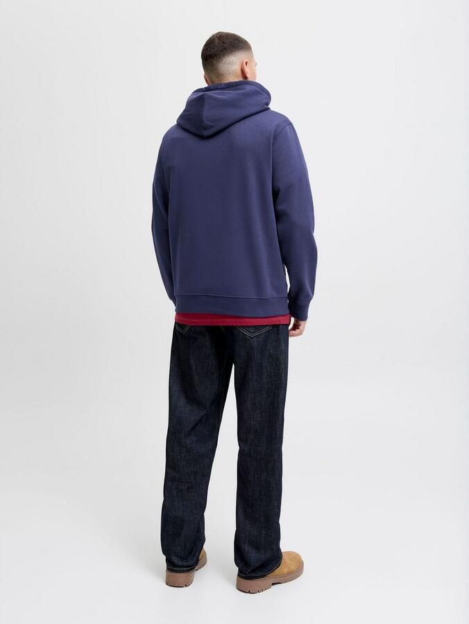 Jack & Jones Hoodie JORINWOOD BLOCK BRANDING SWEAT HOOD - Foto 5