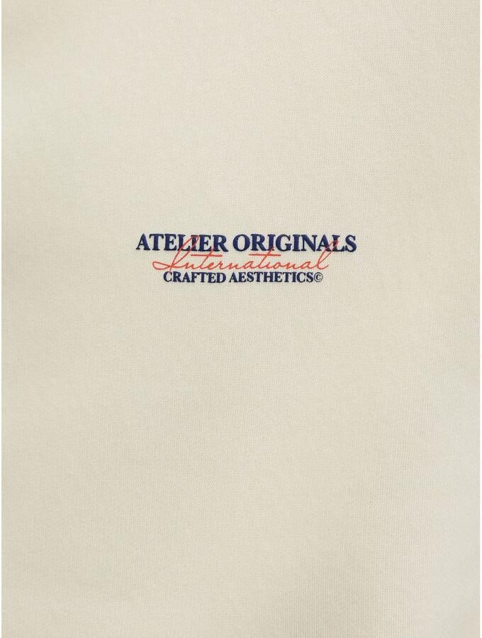 Jack & Jones Hoodie JORISLINGTON BACK SWEAT HOOD SN - Foto 3