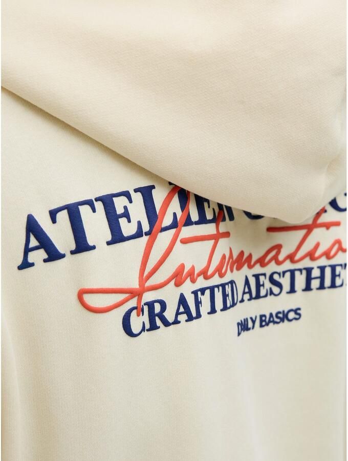 Jack & Jones Hoodie JORISLINGTON BACK SWEAT HOOD SN - Foto 4