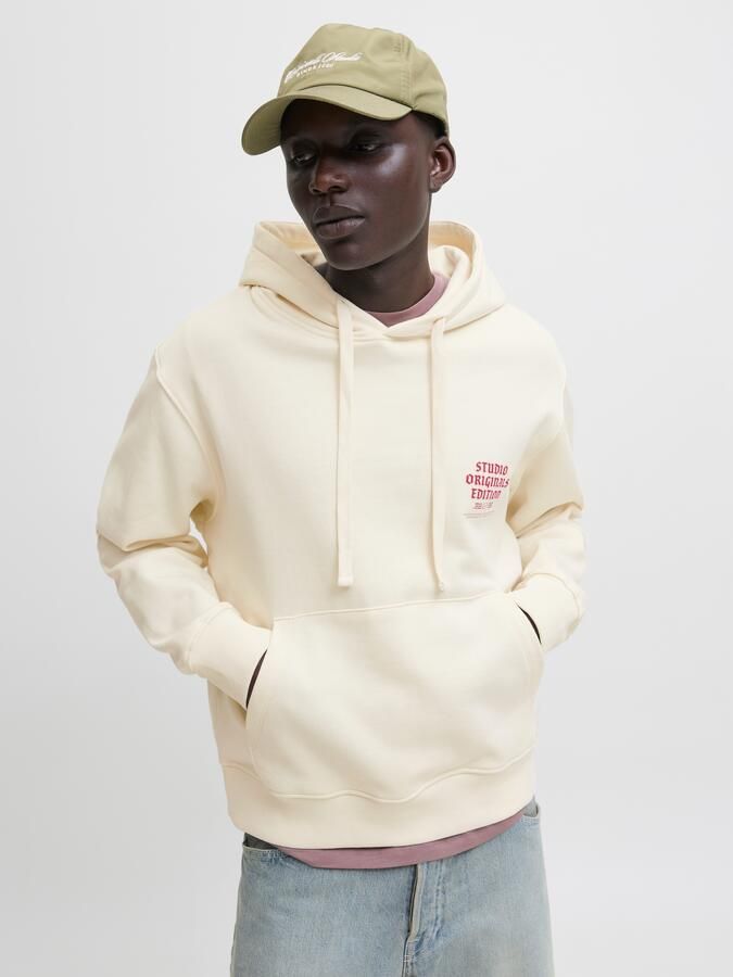 Jack & Jones Hoodie JORMEADOWS SWEAT HOOD - Foto 8