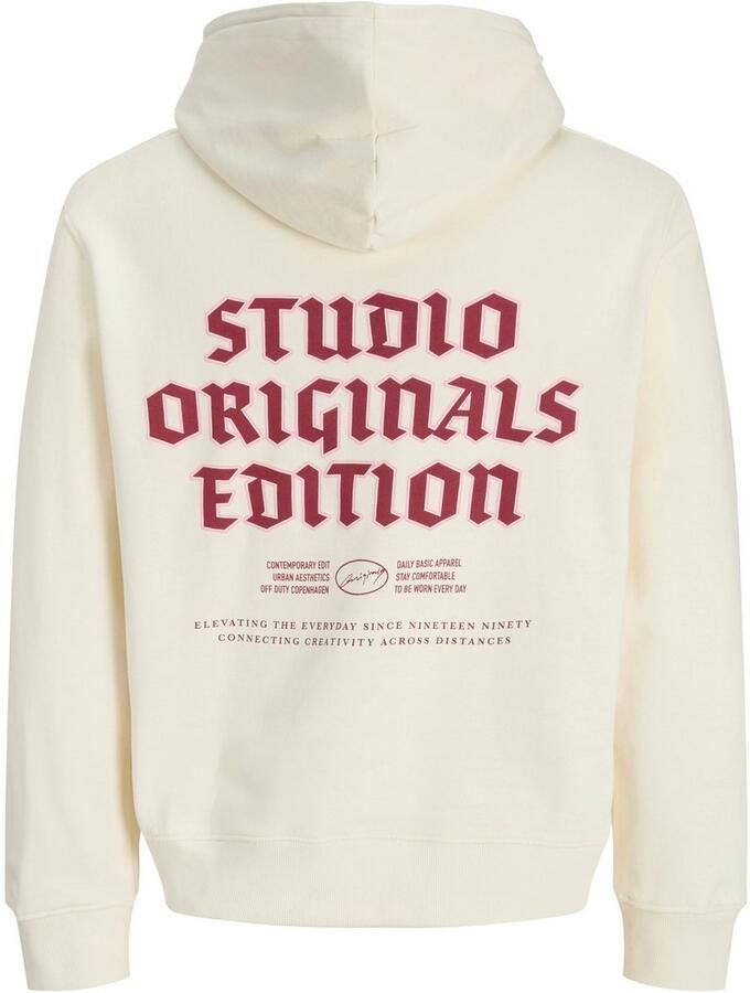 Jack & Jones Hoodie JORMEADOWS SWEAT HOOD - Foto 2
