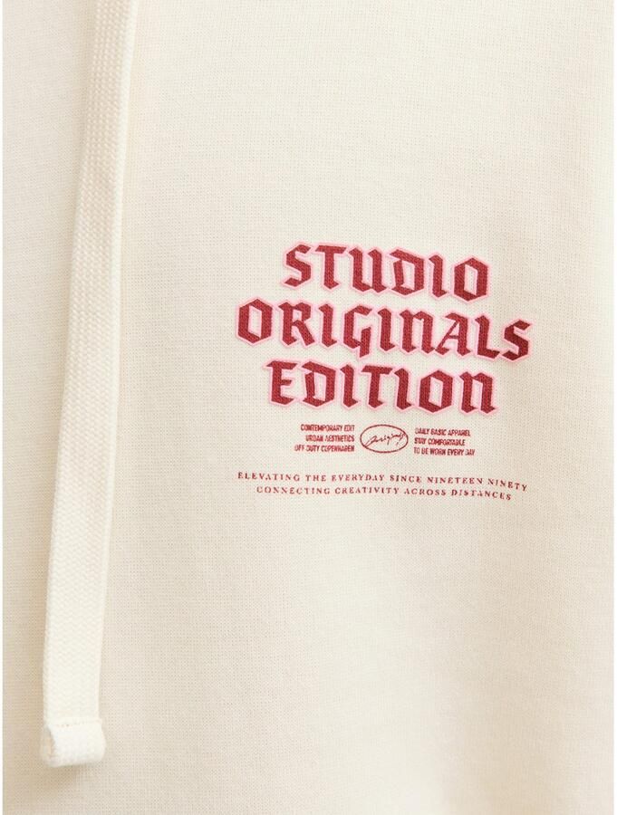 Jack & Jones Hoodie JORMEADOWS SWEAT HOOD