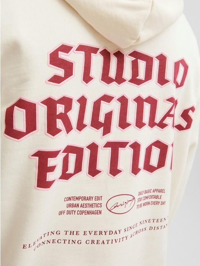 Jack & Jones Hoodie JORMEADOWS SWEAT HOOD - Foto 3