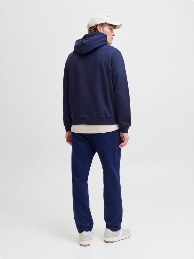 Jack & Jones Hoodie JORNORREBRO EMB SWEAT HOOD NOOS - Foto 13