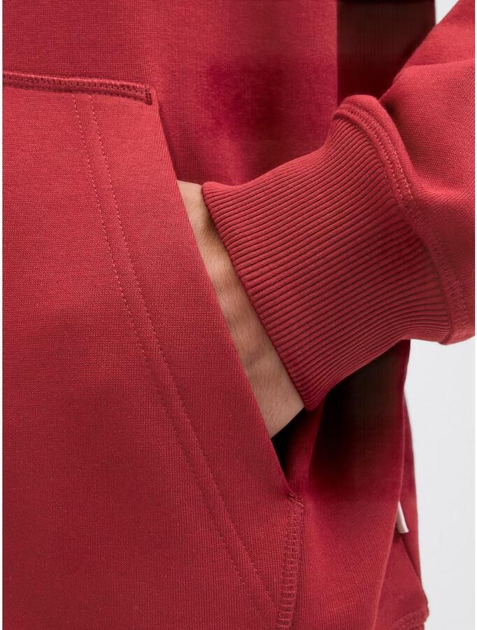 Jack & Jones Hoodie JORNORREBRO EMB SWEAT HOOD NOOS