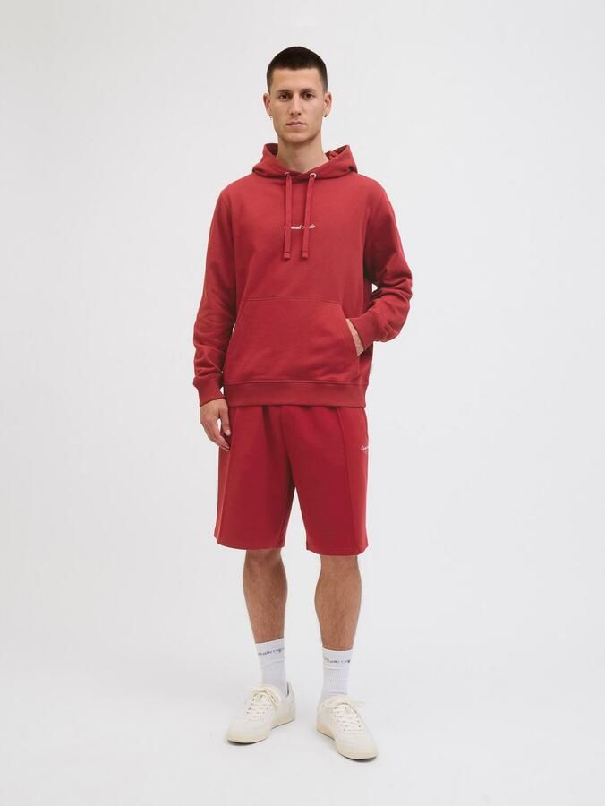 Jack & Jones Hoodie JORNORREBRO EMB SWEAT HOOD NOOS - Foto 2