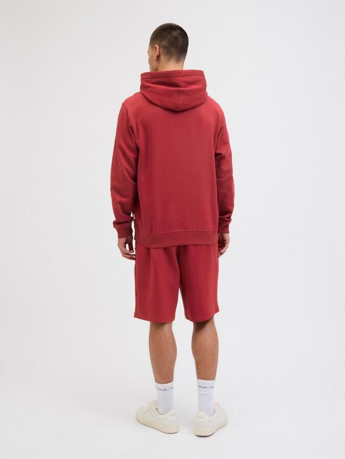 Jack & Jones Hoodie JORNORREBRO EMB SWEAT HOOD NOOS - Foto 3
