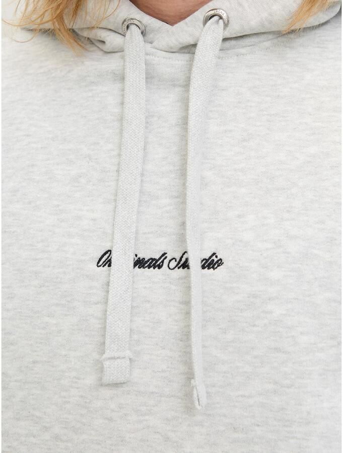 Jack & Jones Hoodie JORNORREBRO EMB SWEAT HOOD NOOS - Foto 2