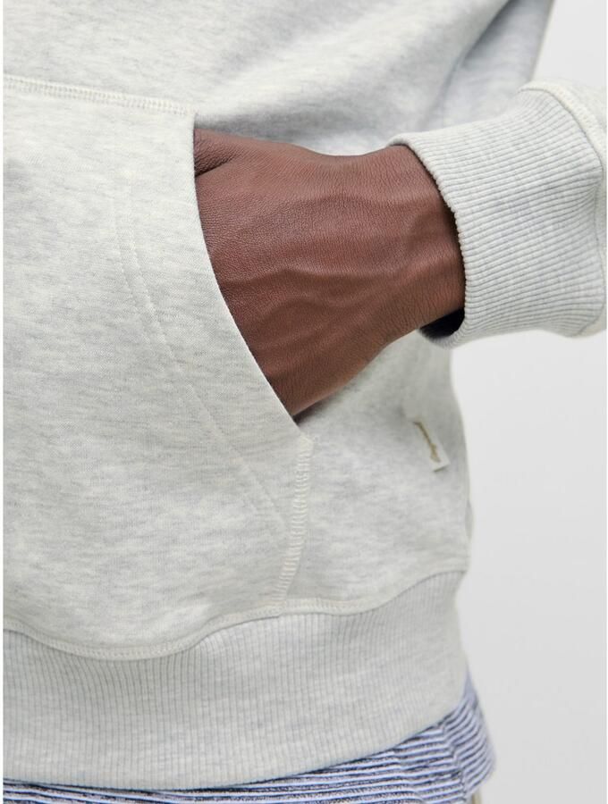 Jack & Jones Hoodie JORNORREBRO EMB SWEAT HOOD NOOS - Foto 3