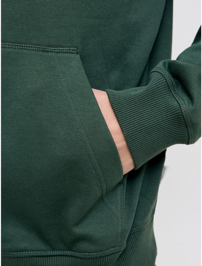 Jack & Jones Hoodie JORNORREBRO EMB SWEAT HOOD NOOS