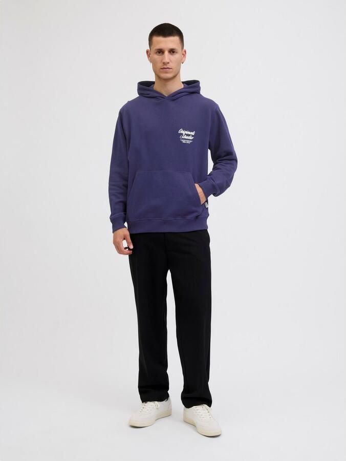 Jack & Jones Hoodie JORNORREBRO TYPO BACK SWEAT HOOD SN - Foto 9