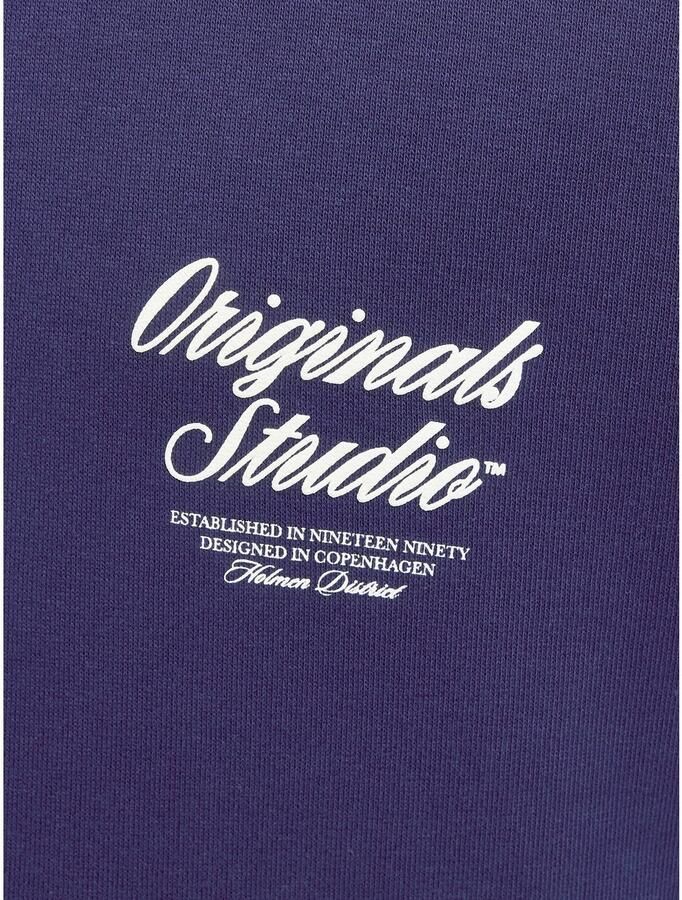 Jack & Jones Hoodie JORNORREBRO TYPO BACK SWEAT HOOD SN - Foto 4