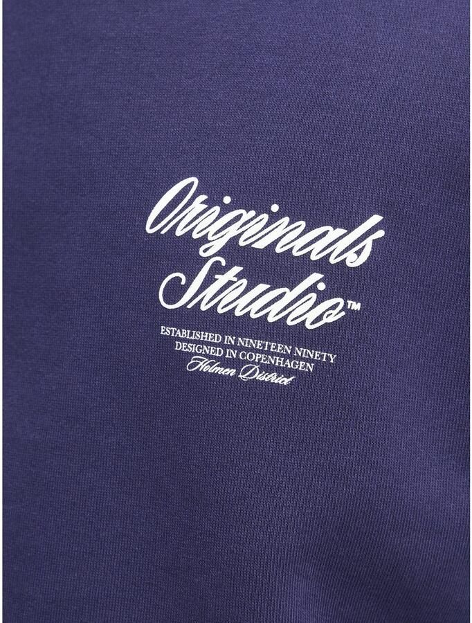 Jack & Jones Hoodie JORNORREBRO TYPO BACK SWEAT HOOD SN - Foto 5