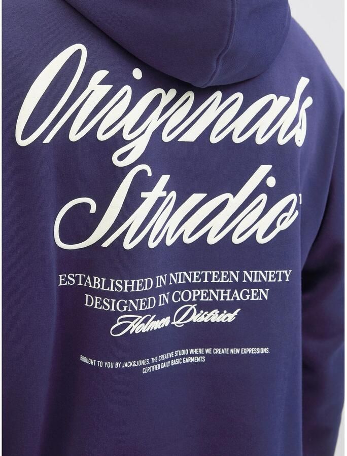 Jack & Jones Hoodie JORNORREBRO TYPO BACK SWEAT HOOD SN - Foto 2