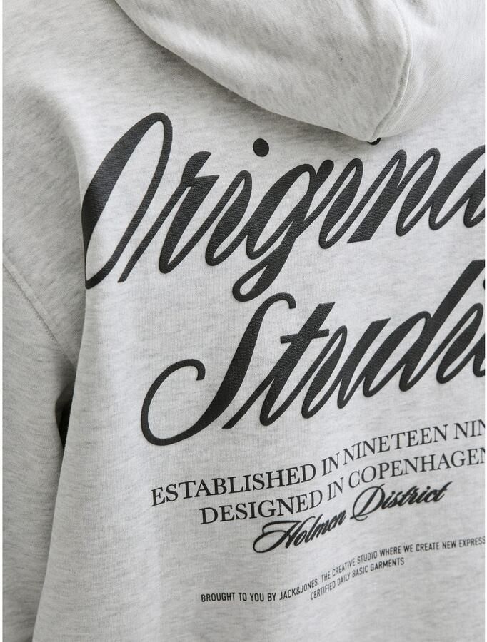 Jack & Jones Hoodie JORNORREBRO TYPO BACK SWEAT HOOD SN