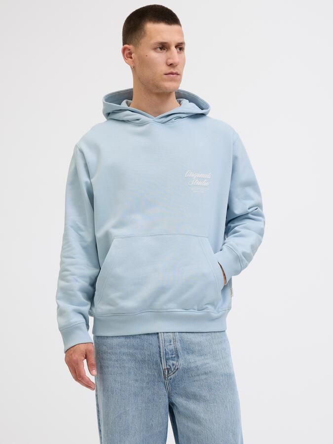 Jack & Jones Hoodie JORNORREBRO TYPO BACK SWEAT HOOD SN - Foto 8