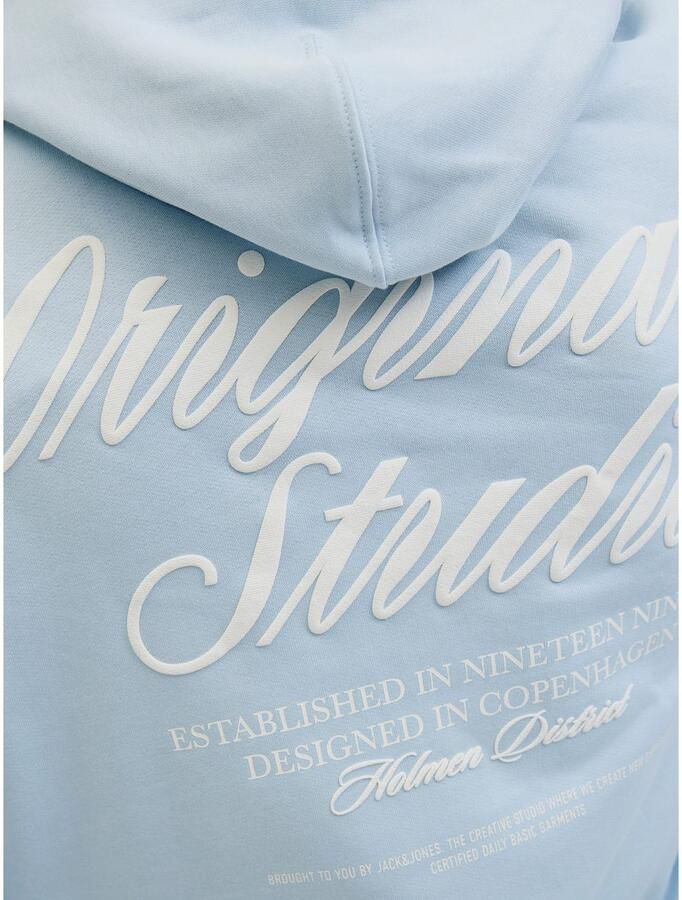 Jack & Jones Hoodie JORNORREBRO TYPO BACK SWEAT HOOD SN - Foto 2