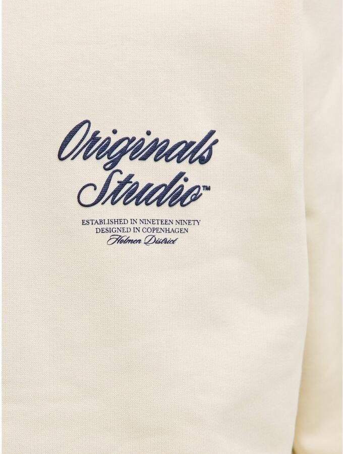 Jack & Jones Hoodie JORNORREBRO TYPO BACK SWEAT HOOD SN