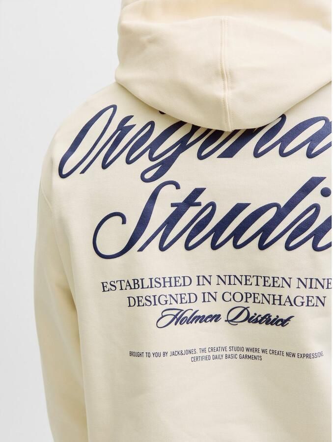 Jack & Jones Hoodie JORNORREBRO TYPO BACK SWEAT HOOD SN - Foto 3