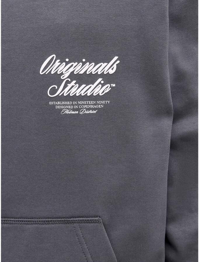 Jack & Jones PlusSize Hoodie JORNORREBRO TYPO BACK SWEAT HOOD PLS - Foto 2