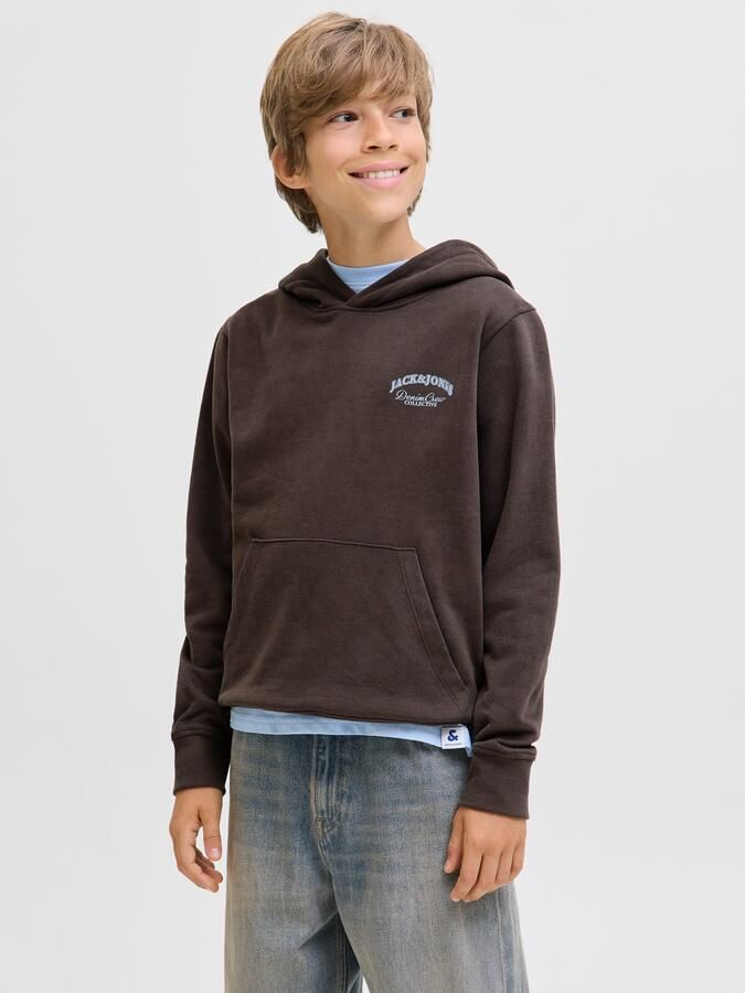 Jack & Jones Junior Hoodie JJEBRANDES BACKP RELAXED SWEAT H SN JNR - Foto 6