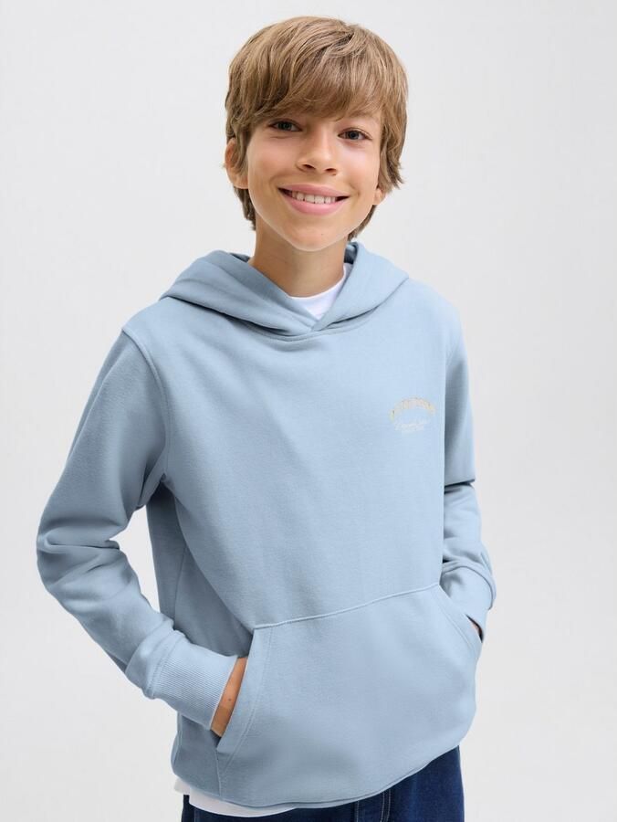 Jack & Jones Junior Hoodie JJEBRANDES BACKP RELAXED SWEAT H SN JNR - Foto 5