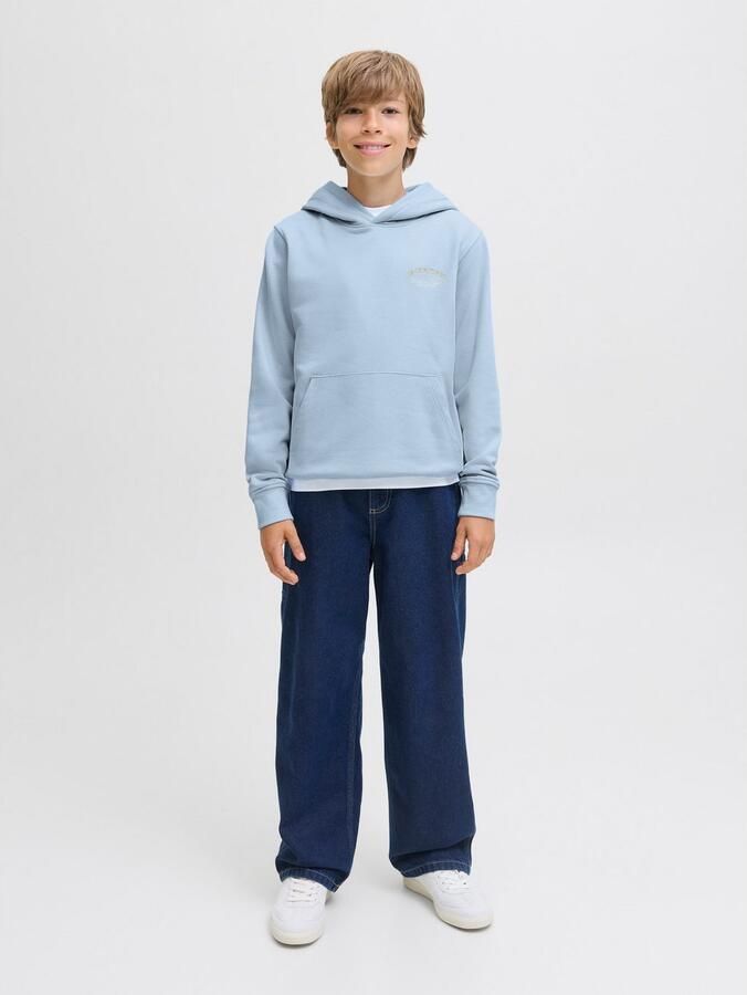 Jack & Jones Junior Hoodie JJEBRANDES BACKP RELAXED SWEAT H SN JNR - Foto 6