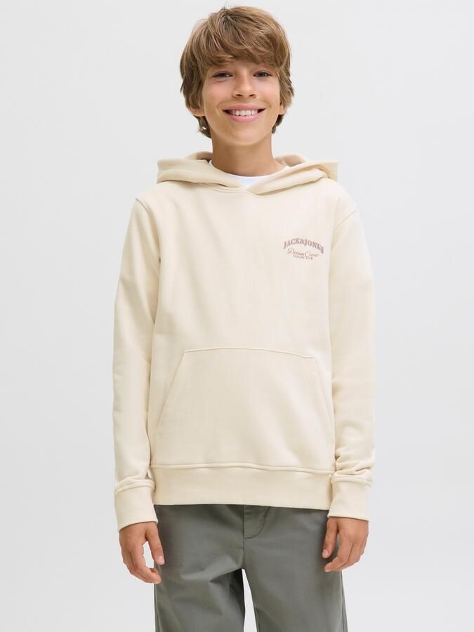 Jack & Jones Junior Hoodie JJEBRANDES BACKP RELAXED SWEAT H SN JNR - Foto 8