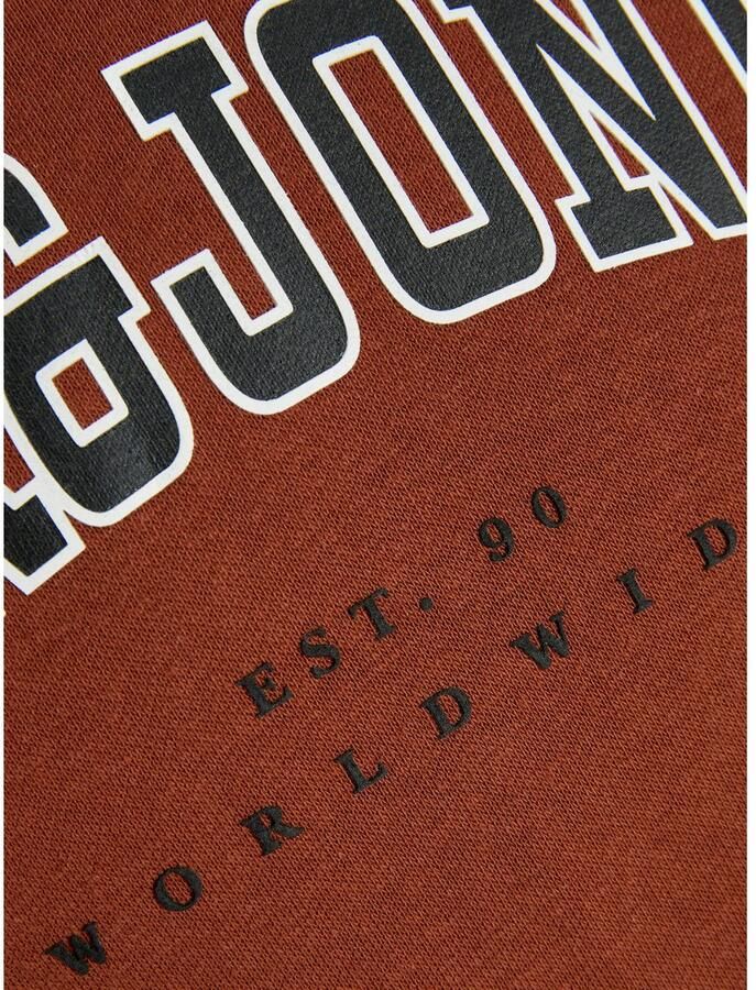 Jack & Jones Junior Hoodie JJECALEB VARSITY SWEAT HOOD NOOS JNR - Foto 2