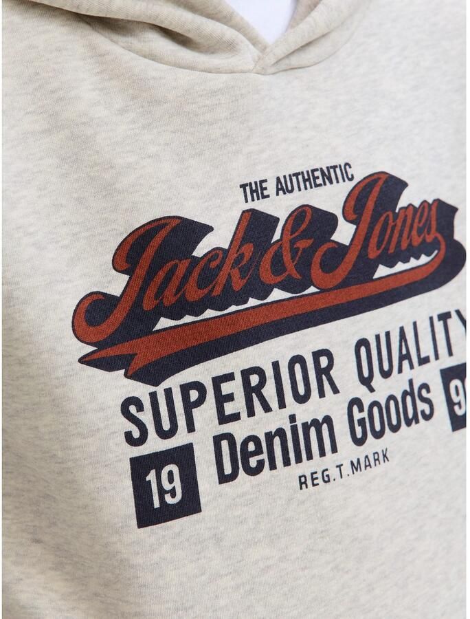 Jack & Jones Junior Hoodie JJELOGO SWEAT HOOD 2 COL AW25 NOOS JNR