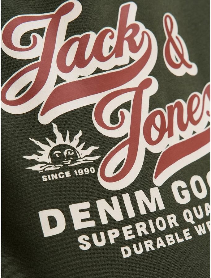 Jack & Jones Junior Hoodie JJELOGO SWEAT HOOD 2 COL AW25 NOOS JNR - Foto 3