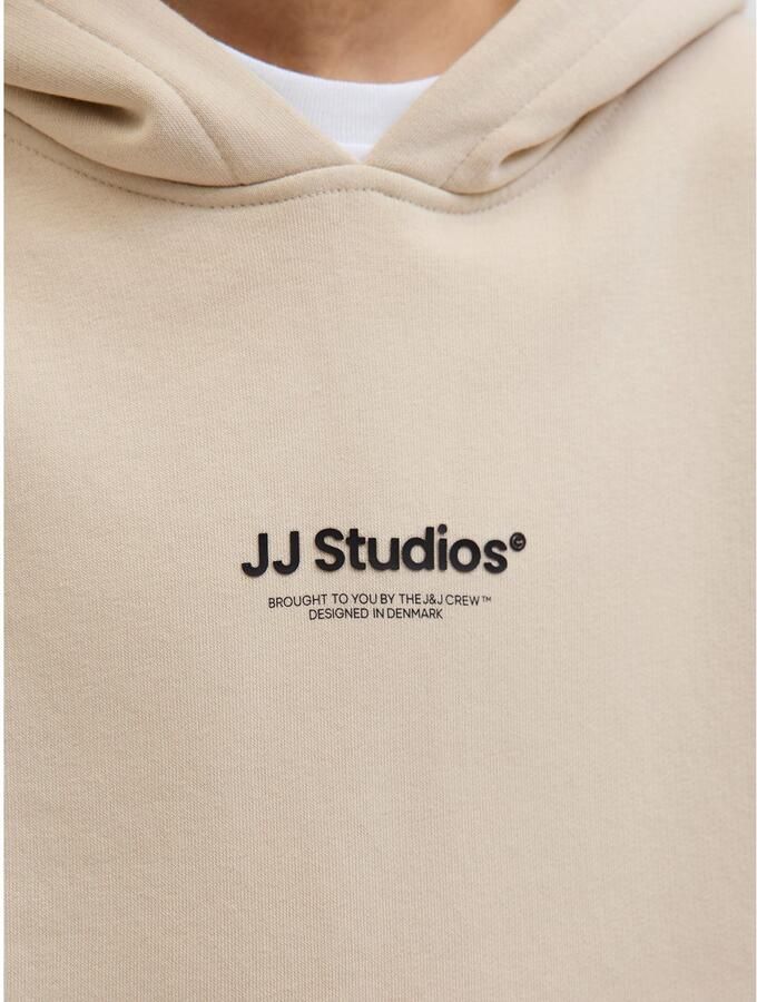 Jack & Jones Junior Hoodie JJESOHO SWEAT HOOD NOOS JNR - Foto 4