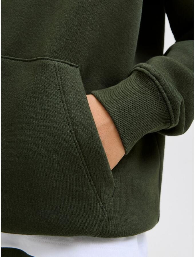 Jack & Jones Junior Hoodie JJESTAR JJ SWEAT HOOD NOOS JNR - Foto 7