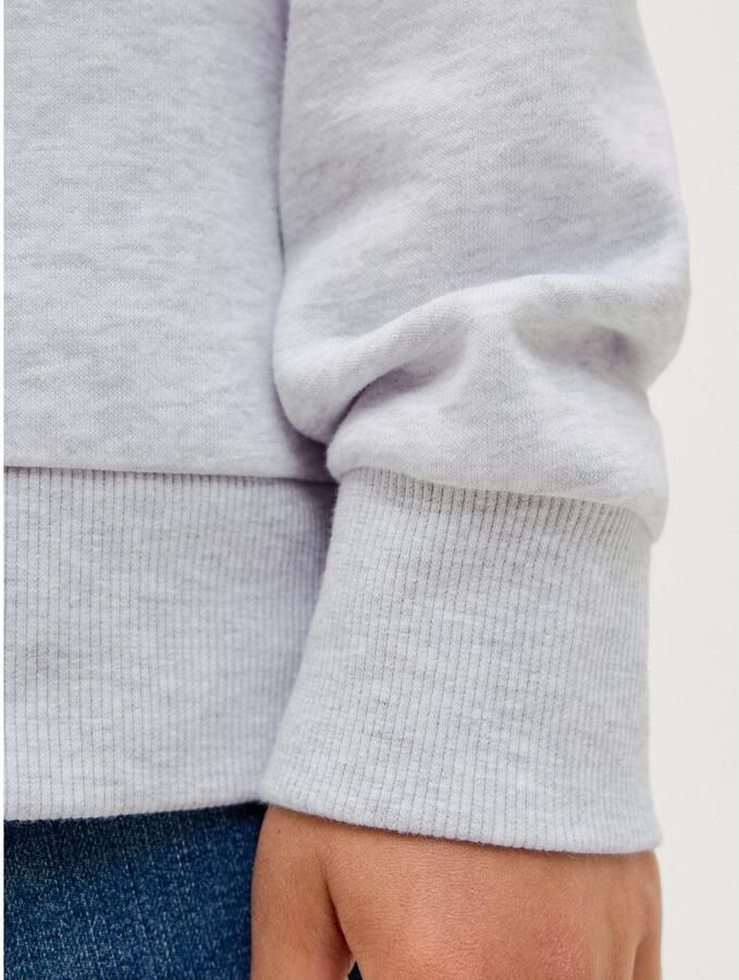 Jack & Jones Junior Hoodie JJGEPLAS SWEAT HOOD JNR