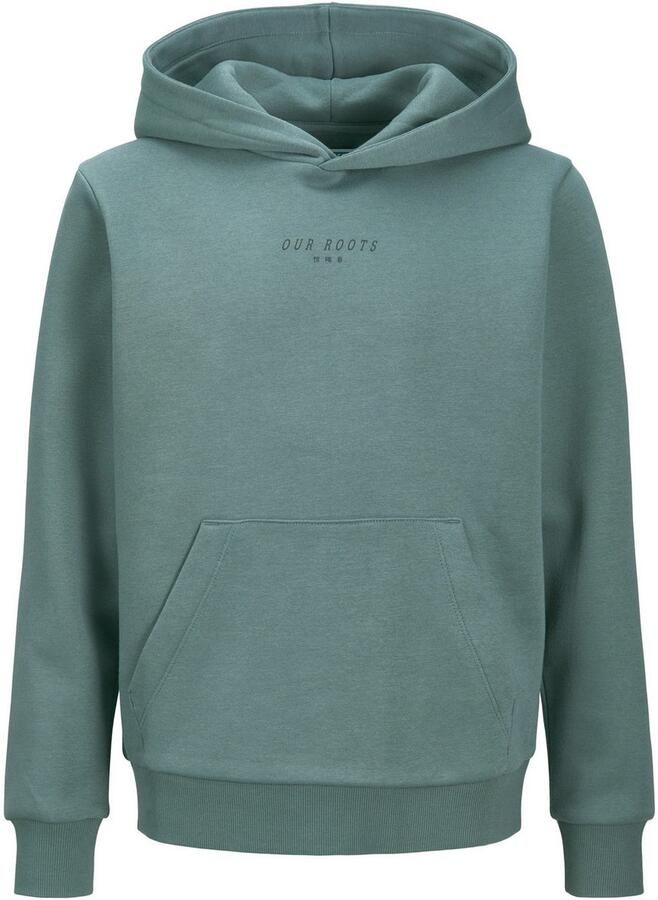 Jack & Jones Junior Hoodie JJKENJI SWEAT HOOD JNR - Foto 8