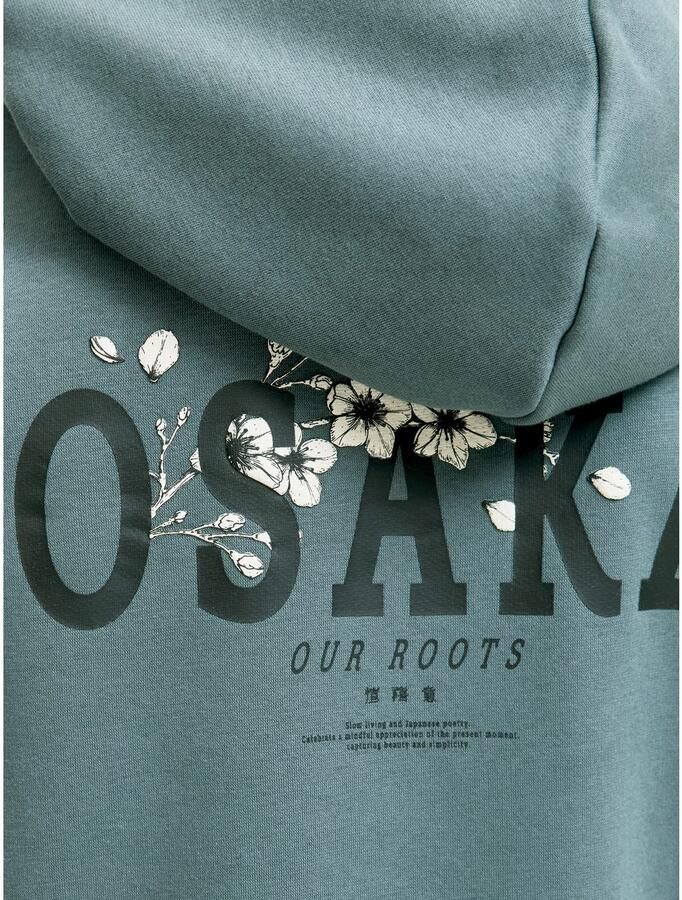 Jack & Jones Junior Hoodie JJKENJI SWEAT HOOD JNR - Foto 4