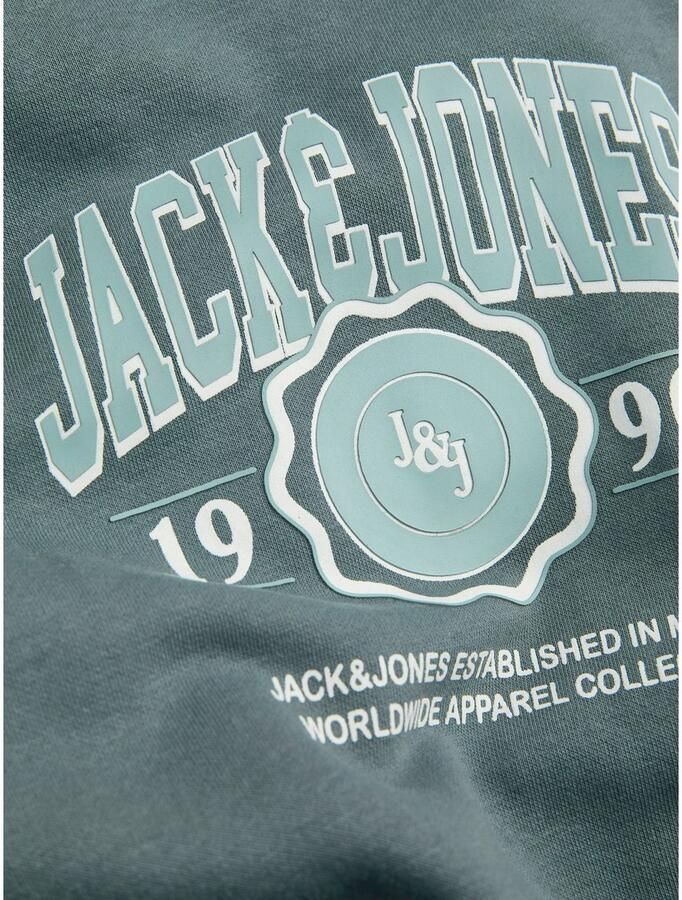 Jack & Jones Junior Hoodie JJMAKO SWEAT HOOD JNR