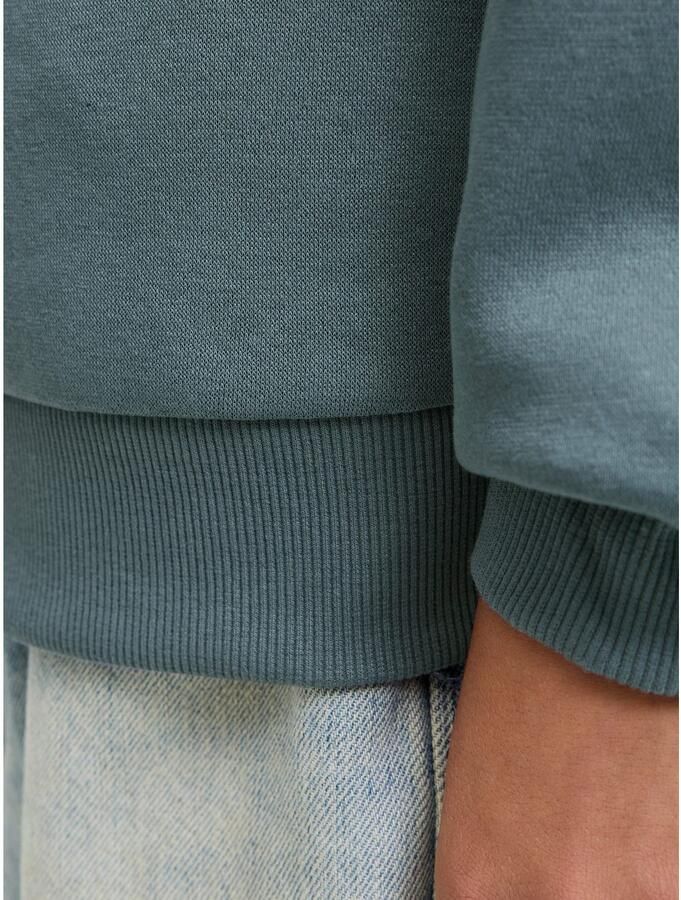 Jack & Jones Junior Hoodie JJMAKOTO SWEAT HOOD JNR - Foto 2