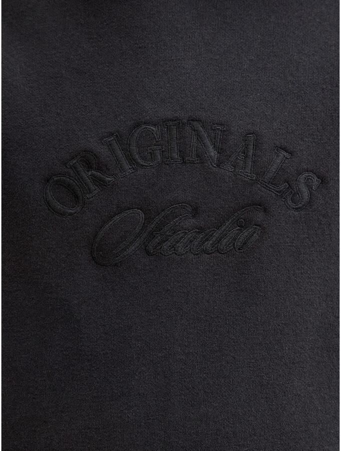 Jack & Jones Junior Hoodie JORBLEECKER BRANDING SWEAT HOOD BF JNR - Foto 3