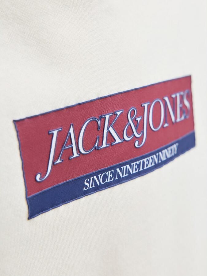 Jack & Jones Junior Hoodie JORINWOOD BLOCK BRANDING SWEAT NOOS JNR - Foto 6