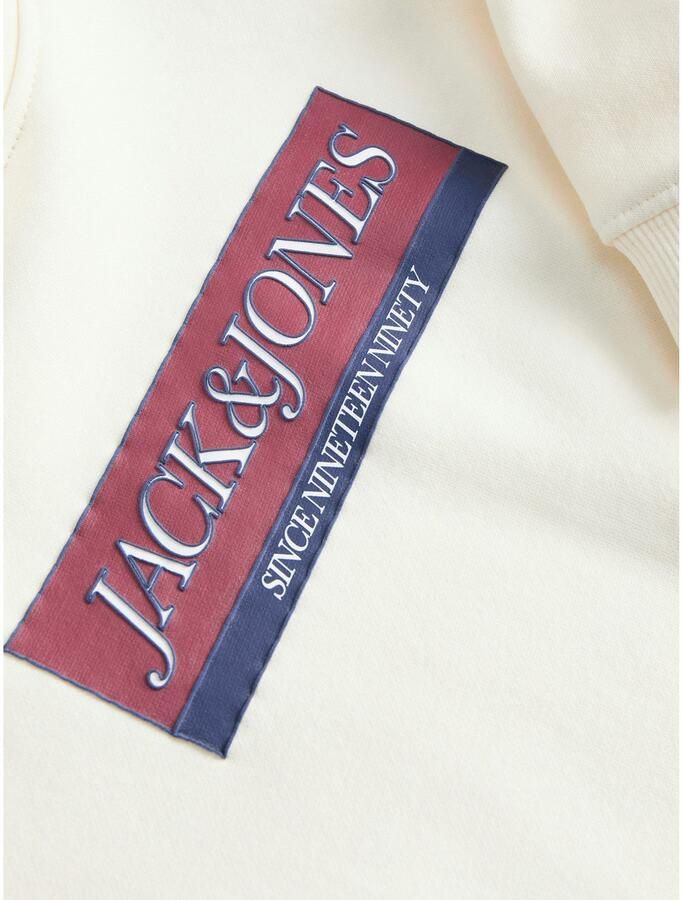 Jack & Jones Junior Hoodie JORINWOOD BLOCK BRANDING SWEAT NOOS JNR - Foto 2