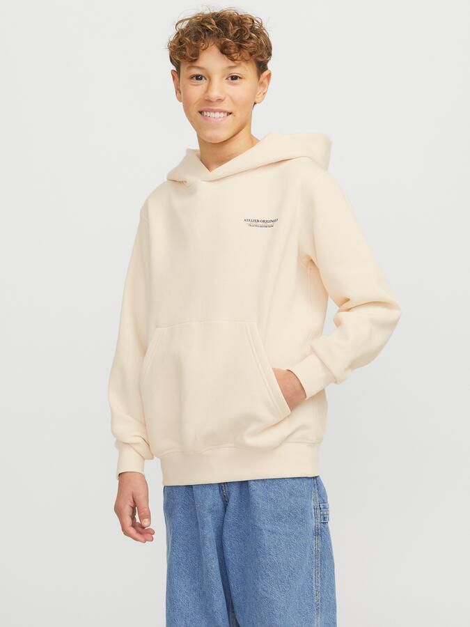 Jack & Jones Junior Hoodie JORISLINGTON BACK SWEAT HOOD SN JNR - Foto 9