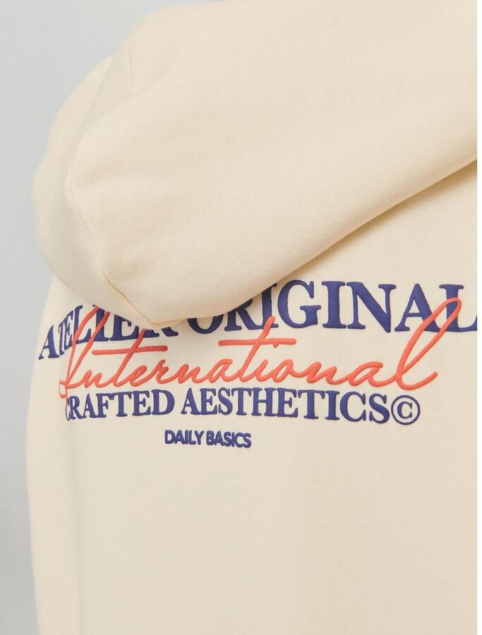 Jack & Jones Junior Hoodie JORISLINGTON BACK SWEAT HOOD SN JNR - Foto 2