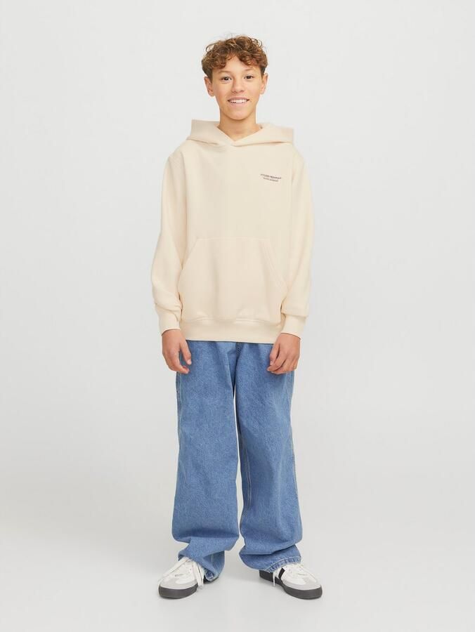 Jack & Jones Junior Hoodie JORISLINGTON BACK SWEAT HOOD SN JNR - Foto 5